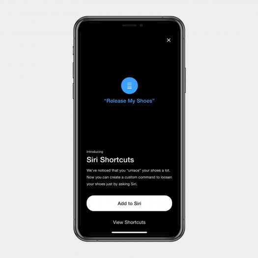 Auch eine Steuerung über Siri ...