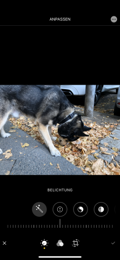 In der Galerie-App hat Apple unter anderem die Bearbeitungsfunktionen überarbeitet und neu gestaltet. (Screenshot: Golem.de)