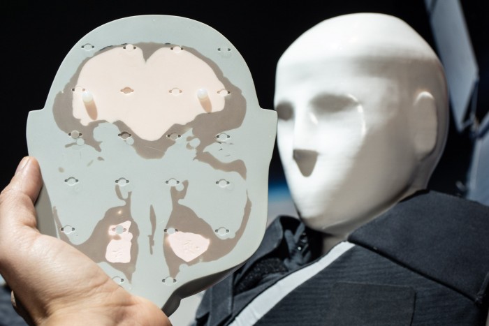 Die Phantome simulieren die Struktur des menschlichen Gewebes. (Bild: Martin Wolf/Golem.de)