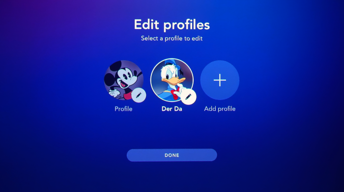 Disney+ in der niederländischen Version - Profilauswahl in englischer Sprache (Bild: Ingo Pakalski/Golem.de)