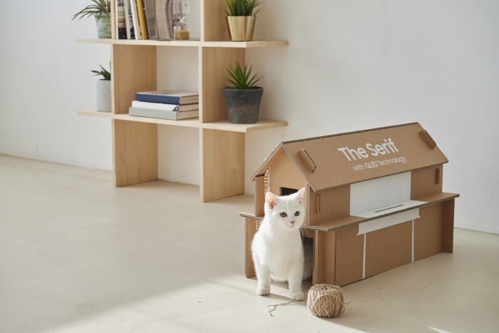 Eine Katze vor ihrem Samsung-Eigenheim (Bild: Samsung)