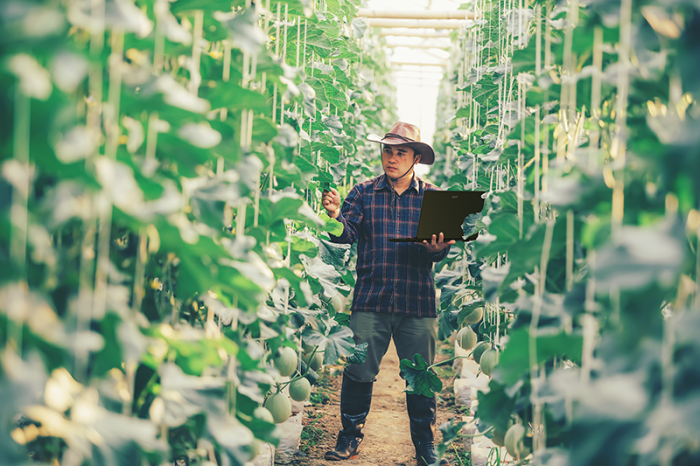 Acer Enduro N3 (Bild: Acer)