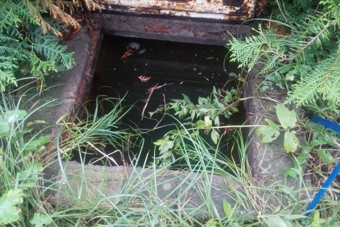 Nach den extremen Regenfällen vom Sommer 2017 stand die Wassergrube voll, nun ist sie fast dauerhaft leer. (Foto: Friedhelm Greis/Golem.de)