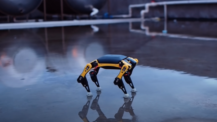 Petoi Bittle (Bild: Petoi)