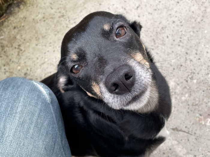 Aufgenommen mit der Hauptkamera des iPhone 12 Pro (Bild: Tobias K&ouml;ltzsch/Golem.de)