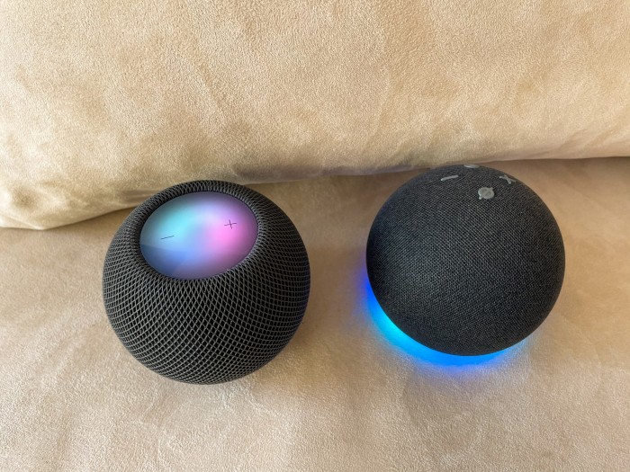 Homepod Mini und Echo Dot 4 lauschen gerade (Bild: Ingo Pakalski/Golem.de)