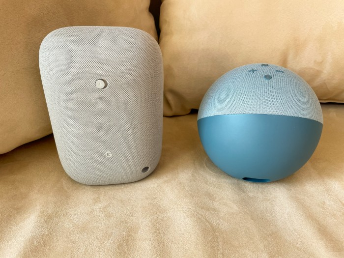 Die Taste zum Stummschalten ist beim Nest Audio auf der Rückseite und daneben der Echo 4 von hinten. (Bild: Ingo Pakalski/Golem.de)