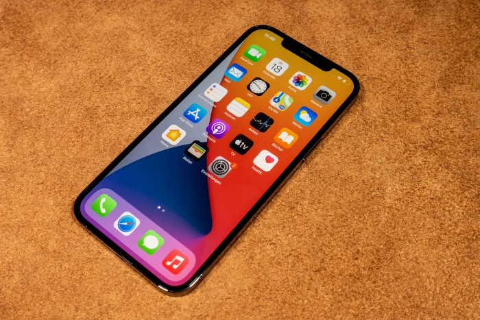 Im Inneren des Smartphones steckt wie bei den anderen iPhone-12-Modellen der A14 Bionic. (Bild: Tobias Költzsch/Golem.de)