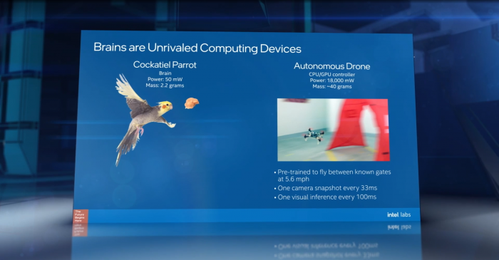 Neuromorphic Computing (Bild: Intel)
