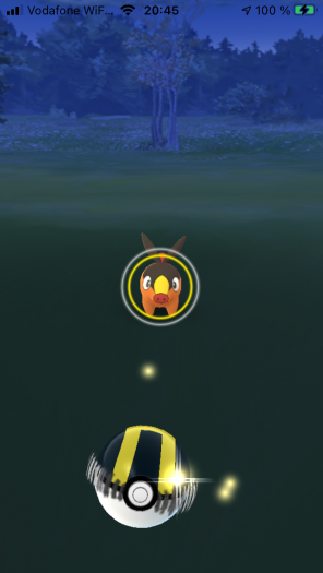 Schwein gehabt? Noch wissen wir nicht, ob dieses Pokémon gleich flüchtet. (Bild: Niantic / Screenshot: Golem.de)