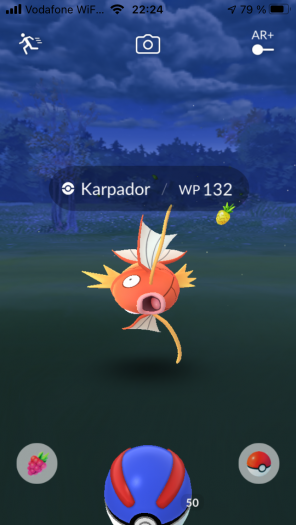Wir fangen ein Karpador, das erst nach Weiterentwicklung zum riesigen Garados im Kampf hilfreich ist. (Bild: Niantic / Screenshot: Golem.de)