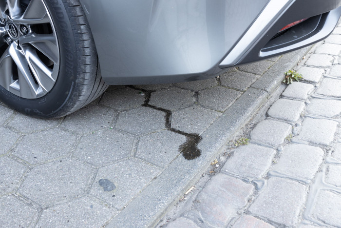 Nach dem Anhalten läuft ein kleines Rinnsal unter dem Auto hervor. (Bild: Werner Pluta/Golem.de)
