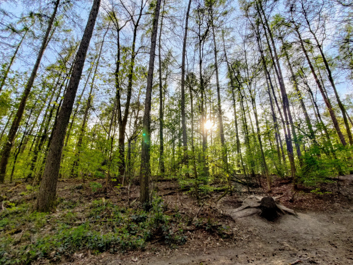 Auch in schwierigen Lichtsituationen macht das Zenfone 8 stimmungsvolle Bilder. Die Schatten bleiben in Extremfällen dunkler als bei anderen Smartphones. (Bild: Tobias Költzsch/Golem.de)