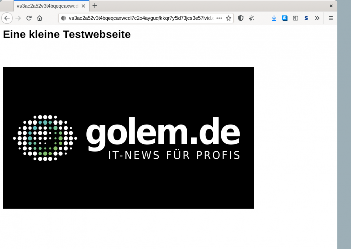 Die Webseite kann anschließend anonym über den Tor Browser abgerufen werden. (Screenshot: Moritz Tremmel/Golem.de)