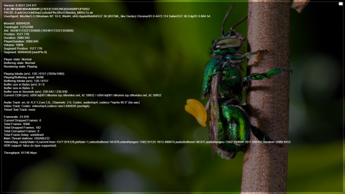 Der Video-Decoder schafft 1080p24 mit H.264 bei Netflix ... (Bild: Golem.de)