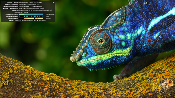 ... wohingegen Youtube mit 1080p60 und VP9 über die CPU-Kerne läuft. (Bild: Golem.de)