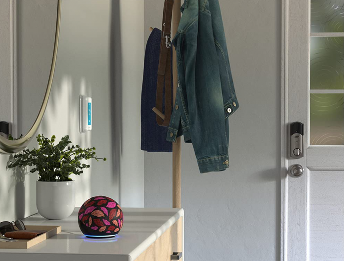 Echo Dot in einem Design von Diane von Fürstenberg (Bild: Amazon)