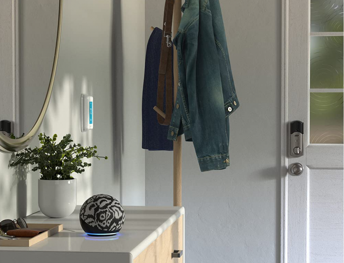 Echo Dot in einem Design von Diane von Fürstenberg (Bild: Amazon)