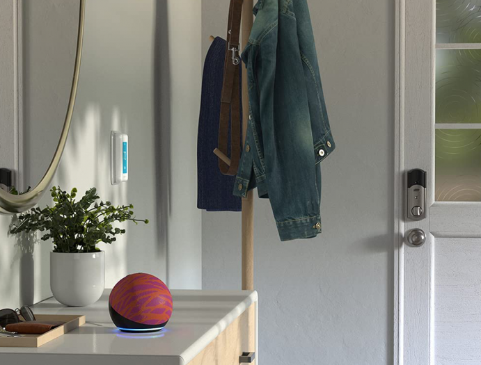 Echo Dot in einem Design von Diane von Fürstenberg (Bild: Amazon)