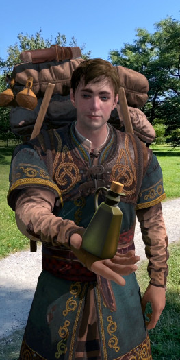 Artwork von The Witcher Monster Slayer (Artwork: CD Projekt)