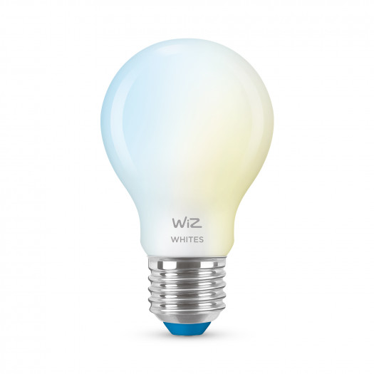 Wiz matte Glas-Lampe E27 (Bild: Signify)