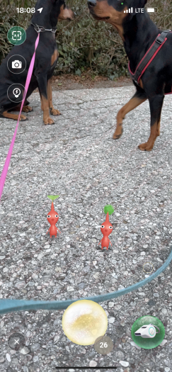 Szene aus Pikmin Bloom (Bild: Niantic / Screenshot: Golem.de)