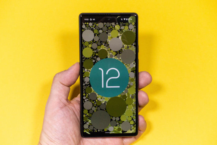 Das Pixel 6 in der Hand (Bild: Tobias Költzsch/Golem.de)