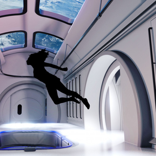 Hier sollen zuk&uuml;nftige Touristen die Schwerelosigkeit und den Blick auf die Erde genie&szlig;en k&ouml;nnen (Bild: Blue Origin).