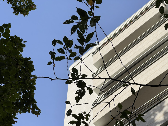 Ein mit der Hauptkamera aufgenommenes Foto (Bild: Tobias Költzsch/Golem.de)