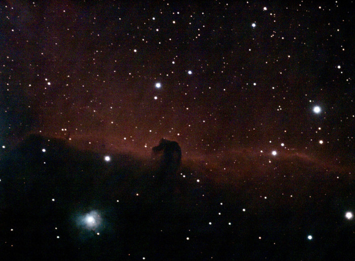 Objekt: Pferdekopfnebel, direkt aus der Stellina-App (Bild: Pamela Williams)