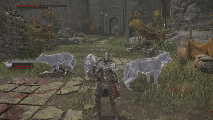 Das beschworene Wolfsrudel bleibt bei uns in der Nähe. (Bild: From Software/Screenshot: Golem.de)