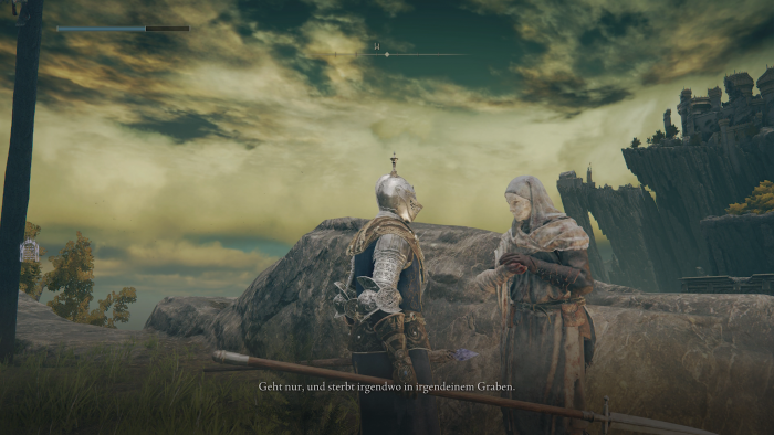 Diese Nebenfigur ist kein Motivationsgenie. (Bild: From Software/Screenshot: Golem.de)