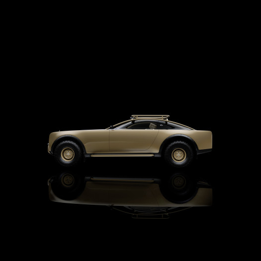Mercedes-Benz Project Maybach (Bild: Mercedes-Benz)