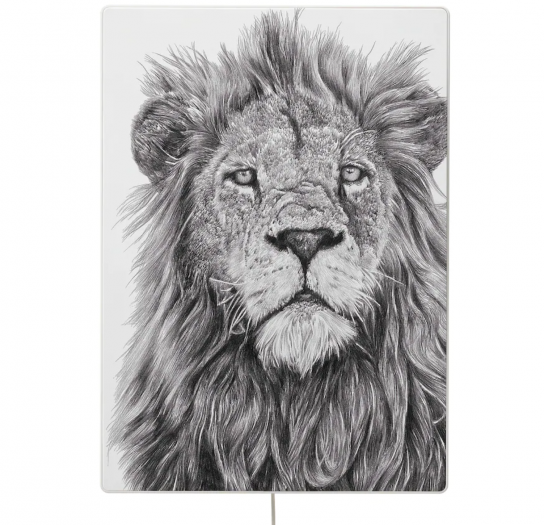 Neue Motive für Ikeas Symfonisk-Bilderrahmen-Lautsprecher (Bild: Ikea)