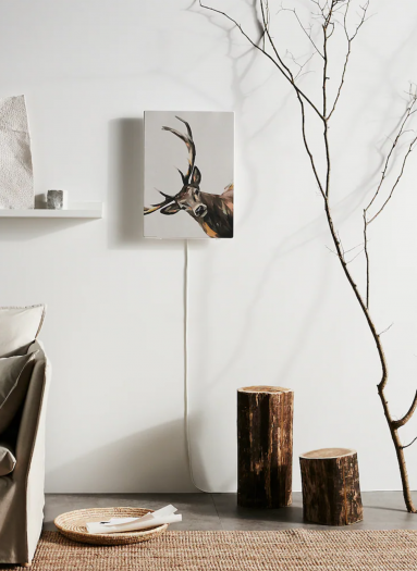 Die bisherigen Motive für Ikeas Symfonisk-Bilderrahmen-Lautsprecher (Bild: Ikea)