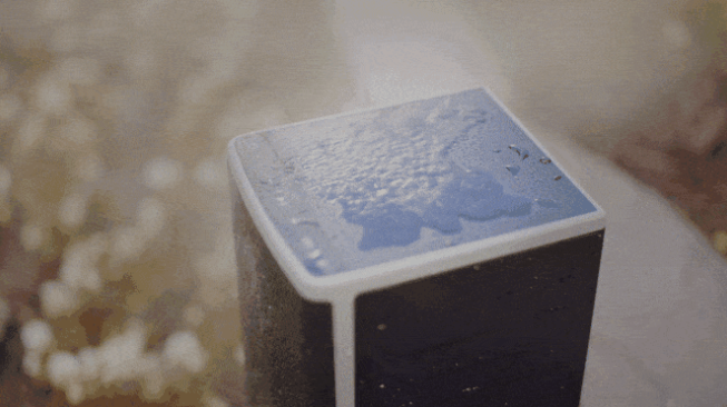 Lodge Outdoor Speaker (Bild: Lodge)