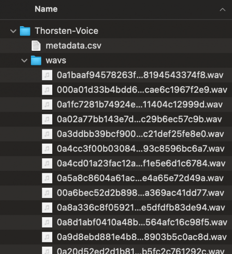 Beispiel einer LJSpeech-Voice-Dataset-Struktur (Screenshot: Thorsten Müller)