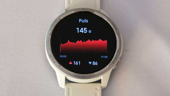 Nach dem Dauerlauf sehen wir auf der Watch die wichtigsten Daten. (Bild: P. Steinlechner/Golem.de)