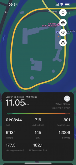 Die Routingdaten sind auch in Kurven sehr genau. (Bild: Xiaomi/Screenshot: Golem.de)