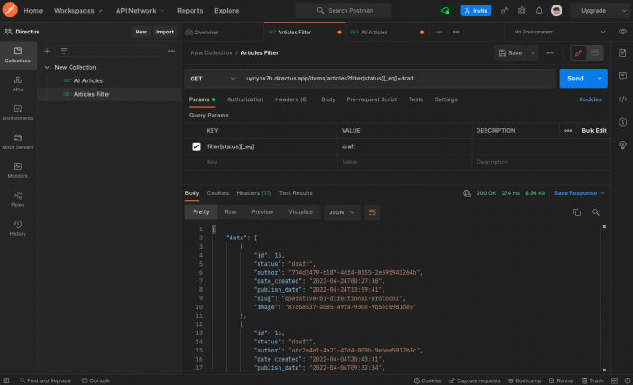 Postman Request für gefilterte Artikel (Screenshot: Jonathan Schneider)