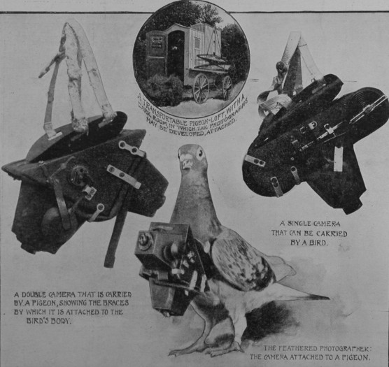 Werbemotiv für die Tauben-Kamera