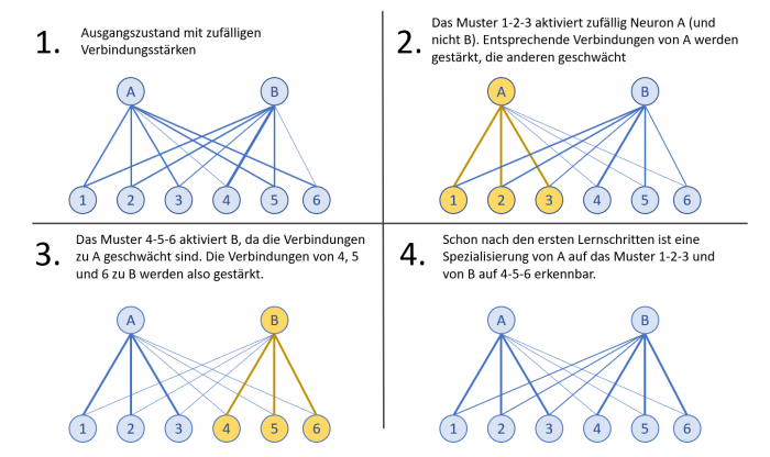 Knstliche) Intelligenz: Algorithmen im Kopf - Golem.de