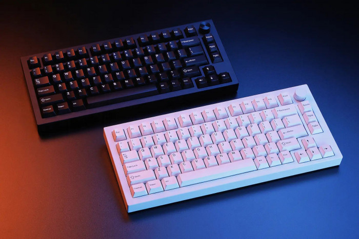 Als Switches kommen Holy Panda X zum Einsatz. (Bild: Drop)