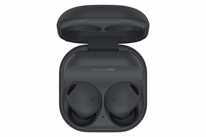 Die Galaxy Buds 2 Pro in ihrem Ladeetui (Bild: Samsung)