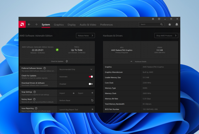 Radeon Software auf der Raphael iGPU (Bild: Golem.de)