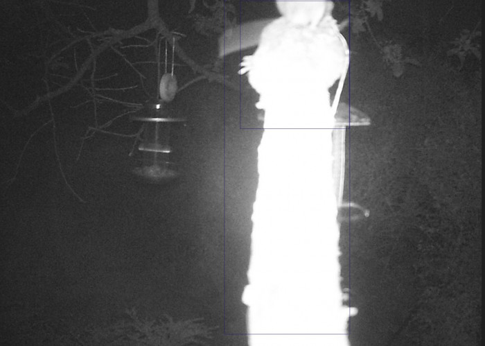 Mit Nachtaufnahmen tut sich ImageAI generell sehr schwer. (Bild: privat)