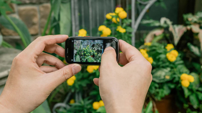 Das Jelly 2E hat eine 16-Megapixel-Kamera. (Bild: Unihertz)