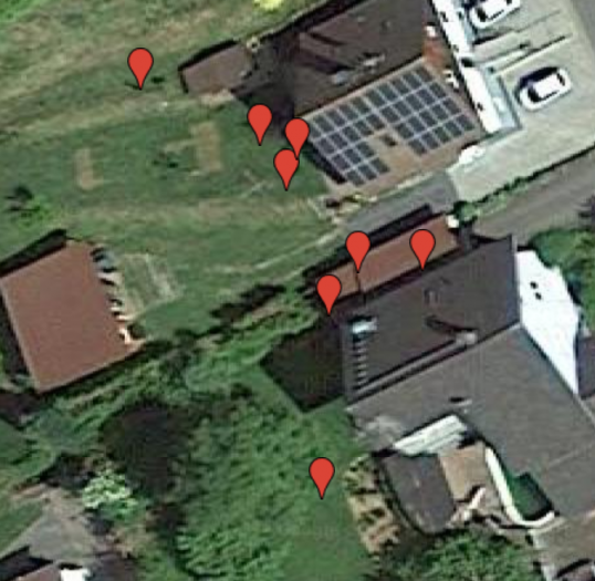 Hier ist Leopold umhergestrichen. (Bild: Thomas Ell)