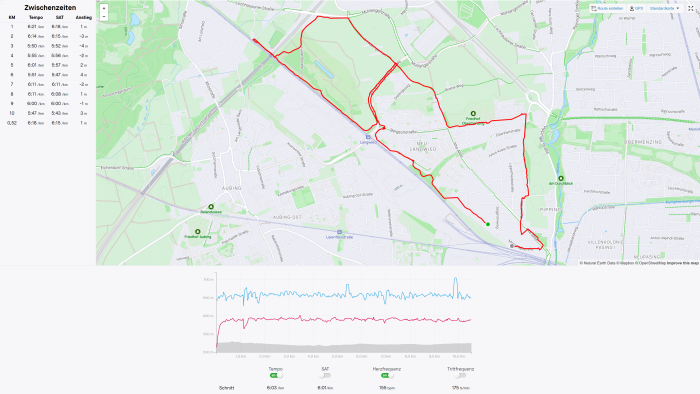 Der Ausdauermodus auf der Enduro 2 unterscheidet sich kaum vom normalen Modus. (Bild: Strava / Screenshot: Golem.de)