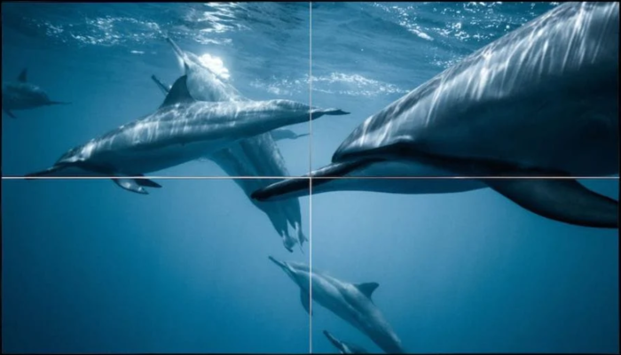 Displace TV (Bild: Displace)